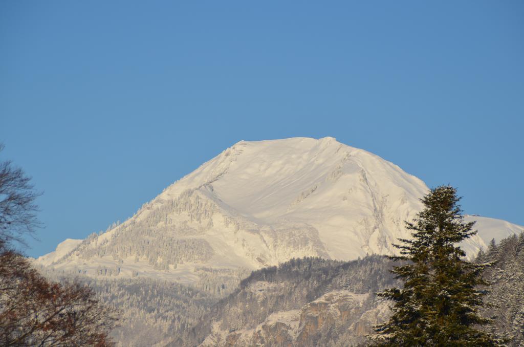 Mountain-Panorama Apartment Meiringen Exterior photo